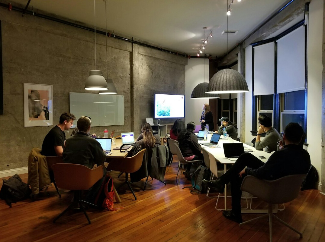 software developer coding